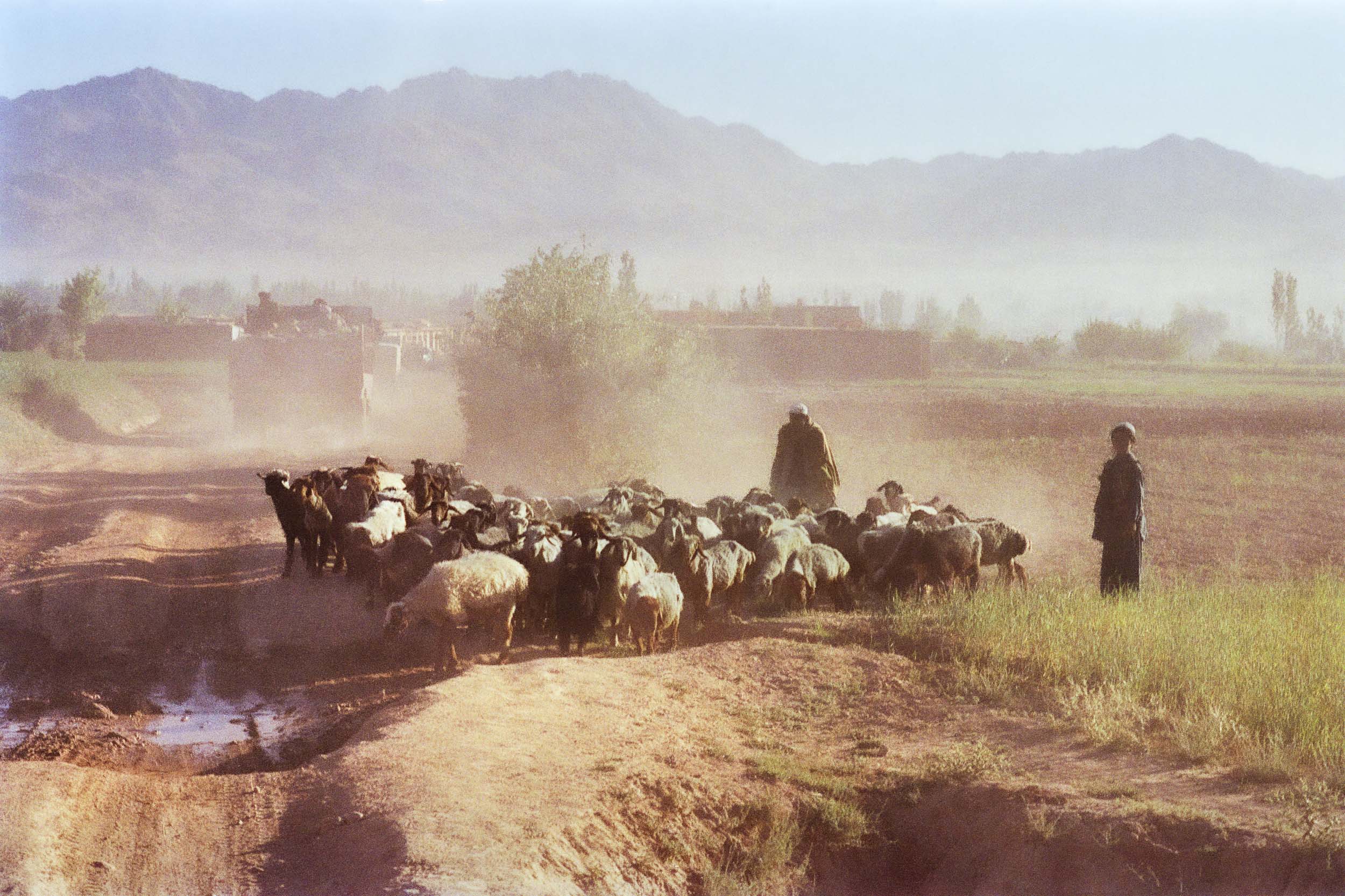 On the Road, Afghanistan 1988