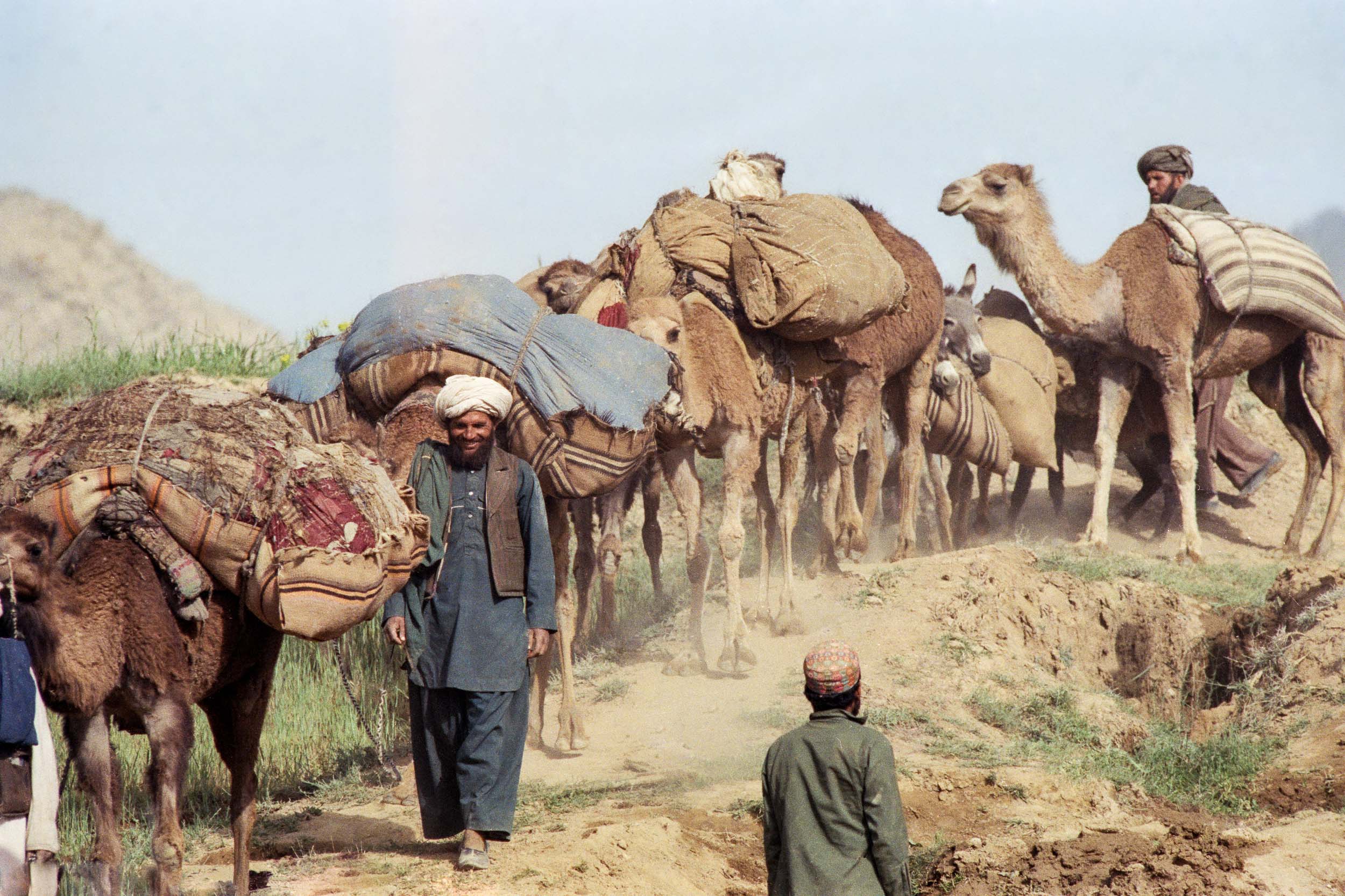 Camel Train, Afghanistan 1988