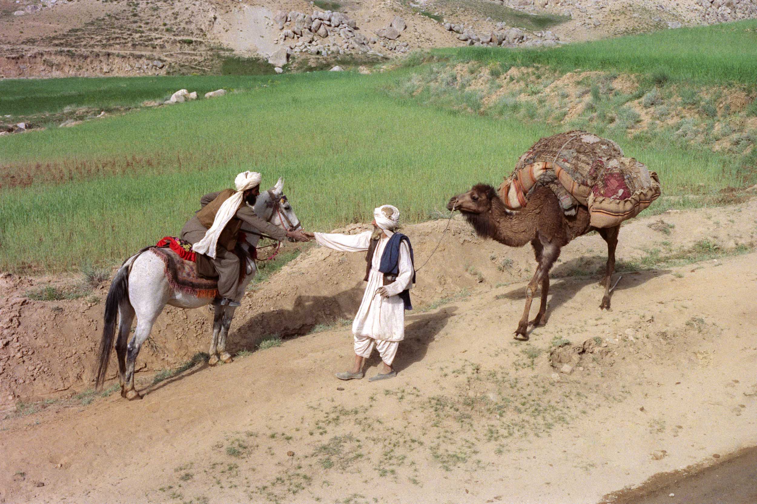 On the Road Greetings, Afghanistan 1988