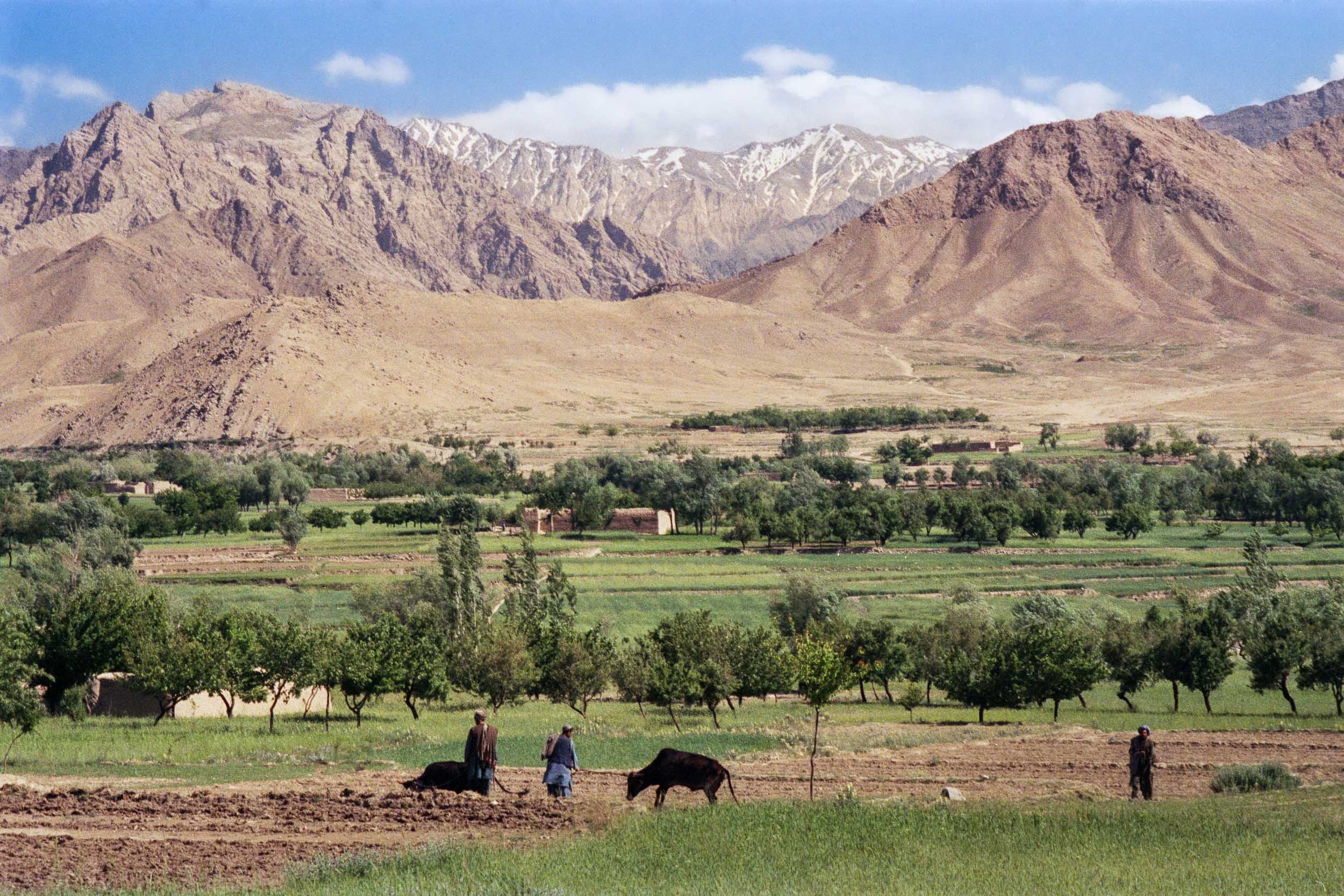 Coming into Fertile Soil, Afghanistan 1988