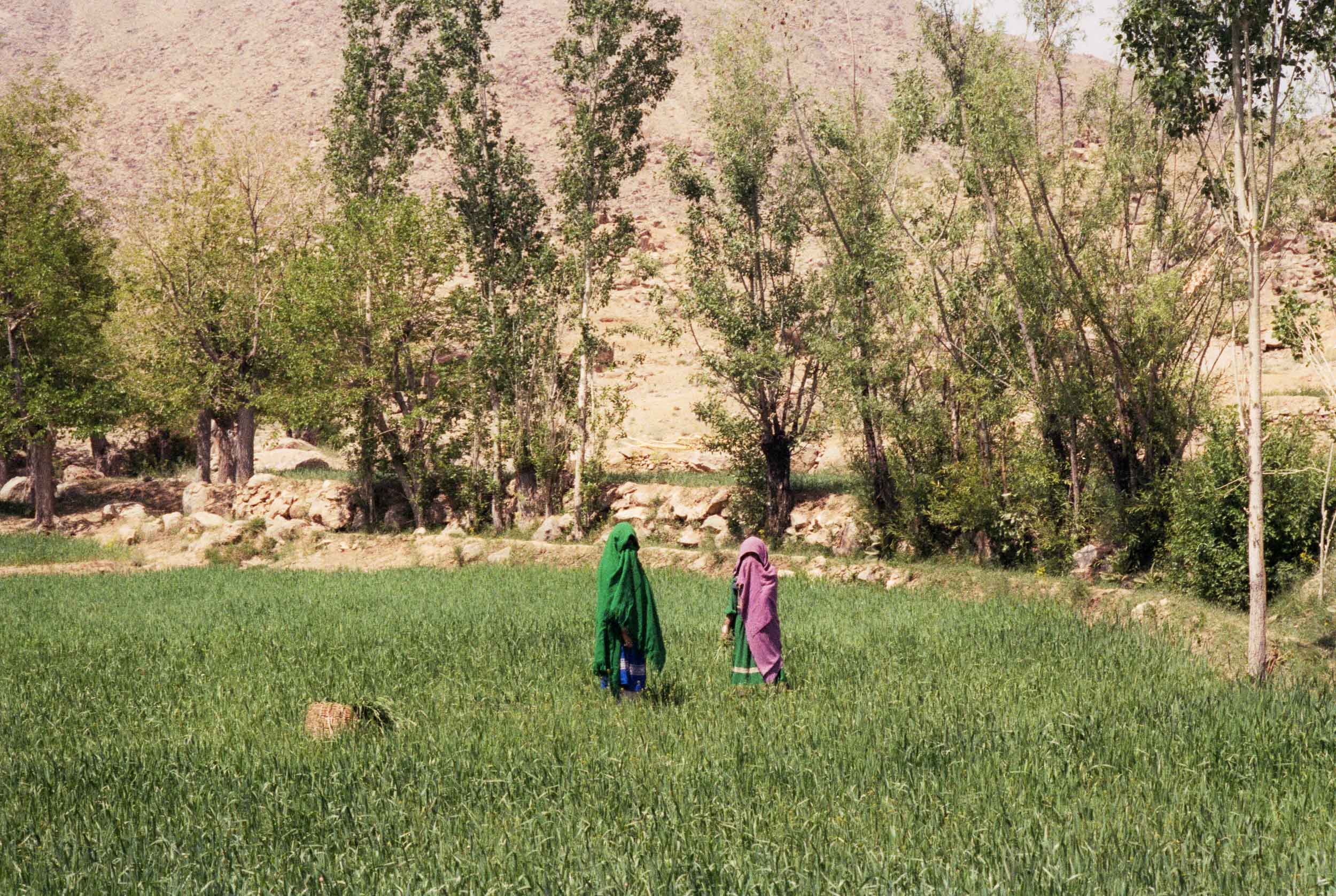 Two Women in a Field. Afghanistan 1988