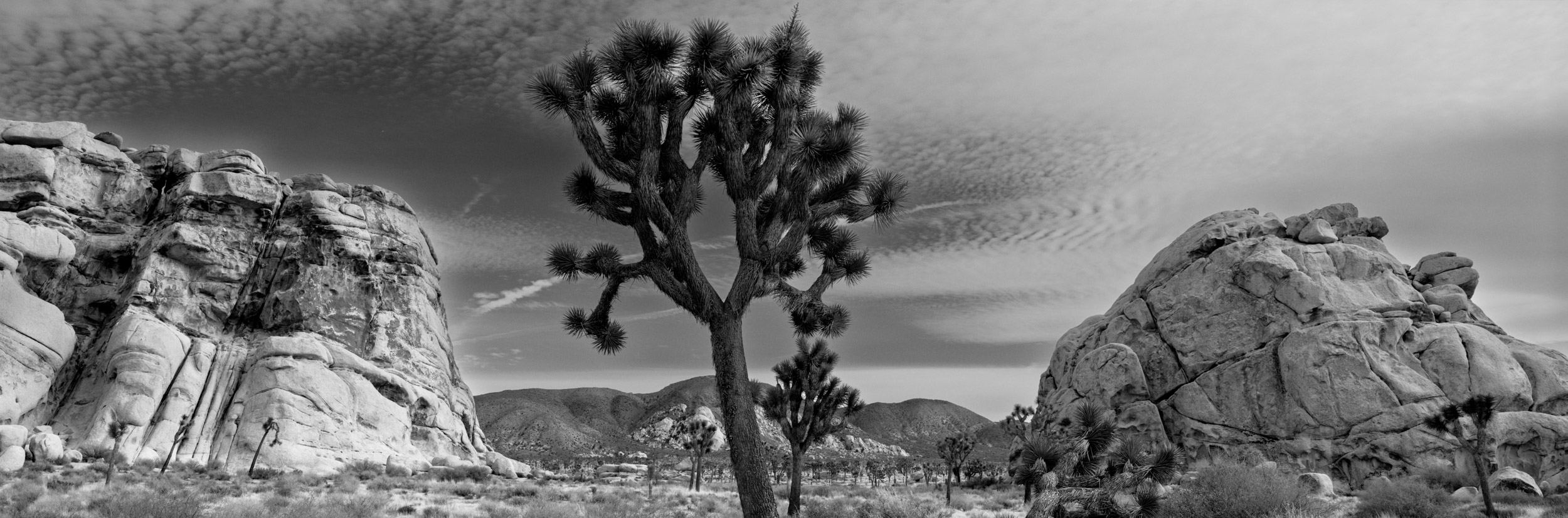 Joshua Tree National Park, California