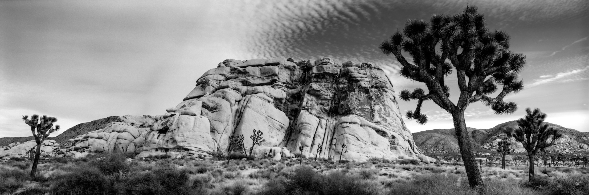 Joshua Tree National Park, California