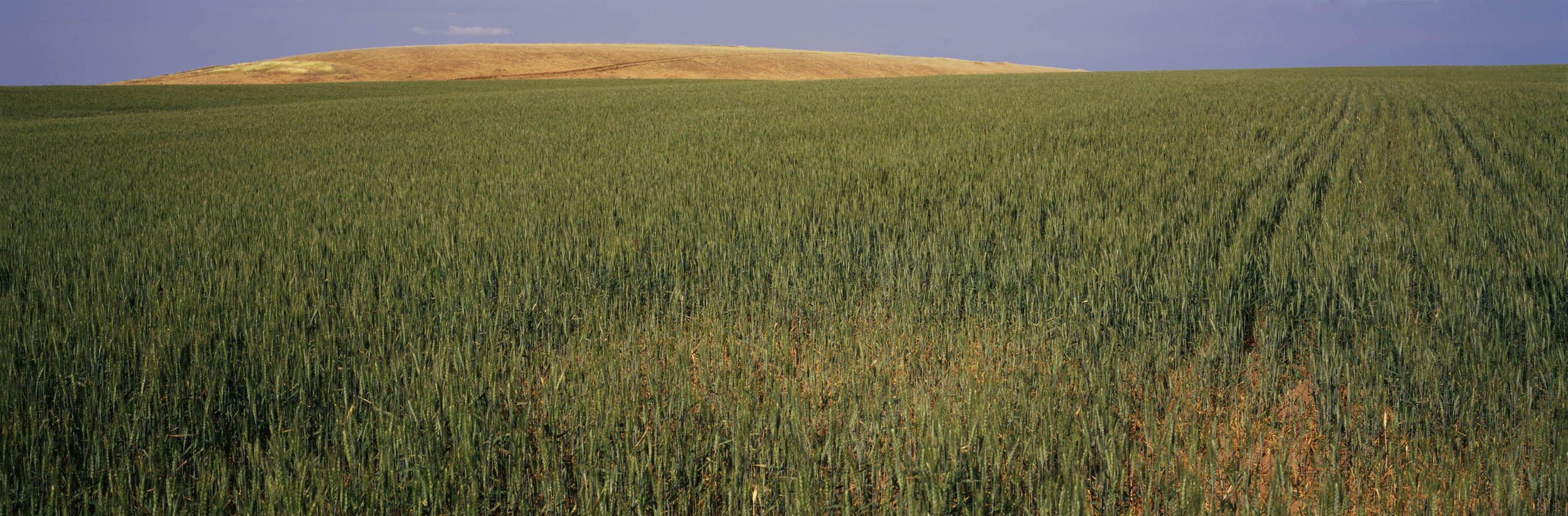 Palouse, Washington