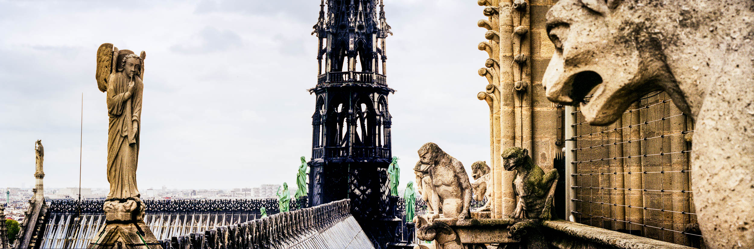 Roof of Notre Dame, Paris
