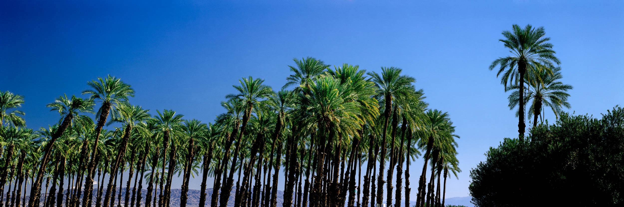 Salton Sea Beach, California