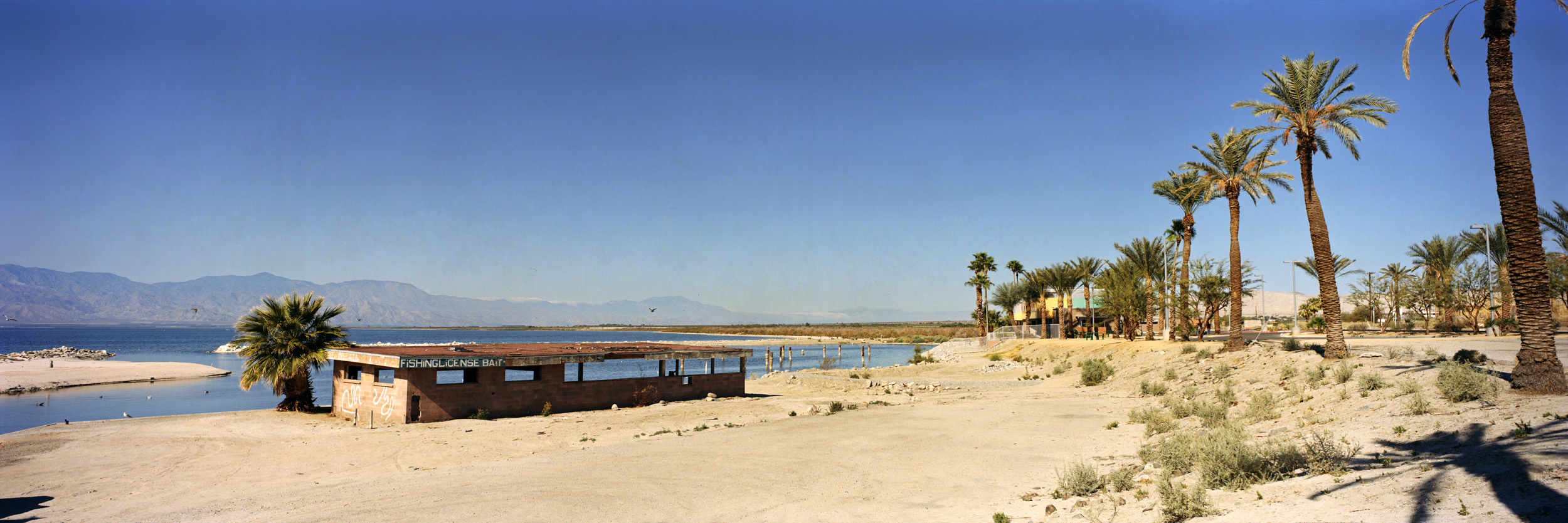 Salton Sea Beach, California